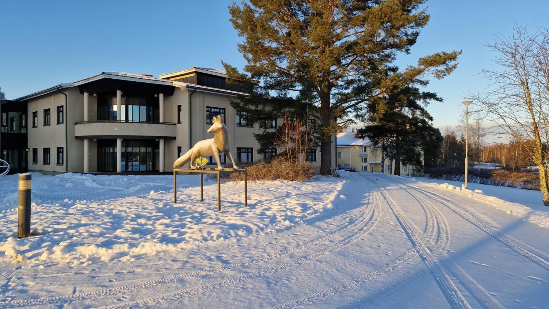 Majoitus Fox Hostel Kuopio Ngoại thất bức ảnh